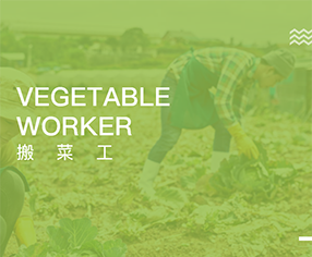 搬菜工
